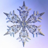 FROST